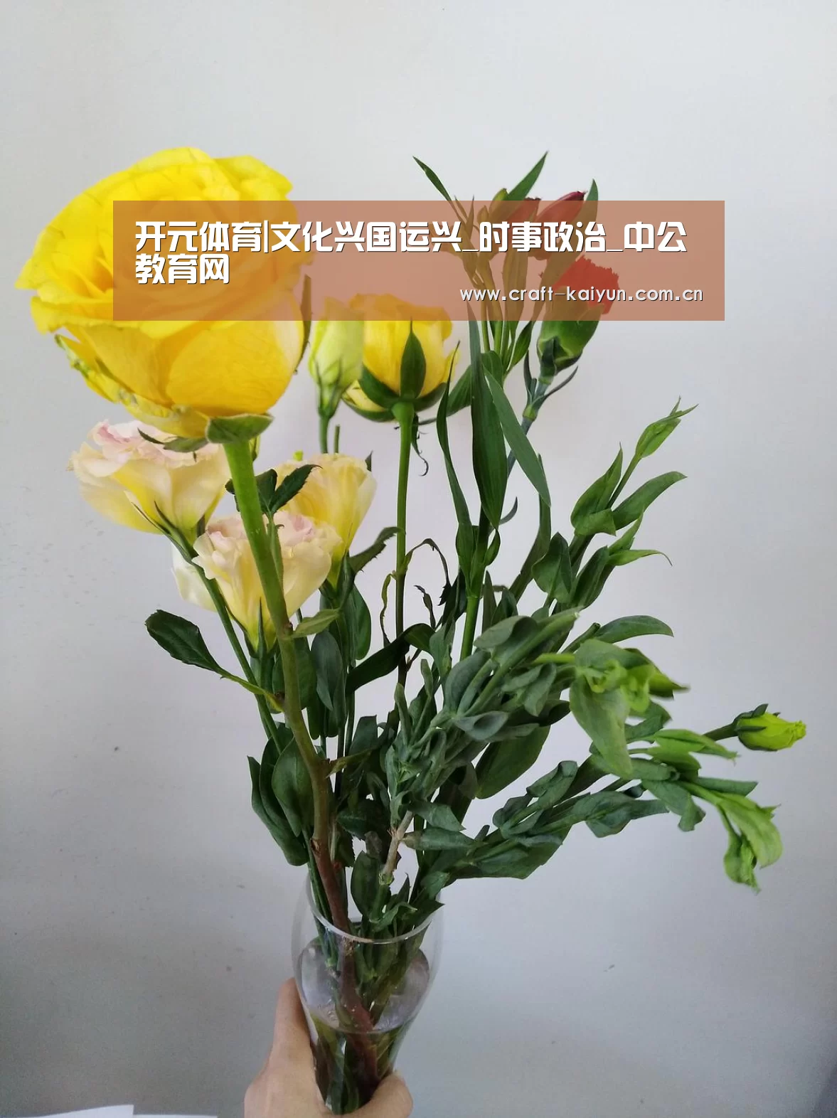 开云体育网站